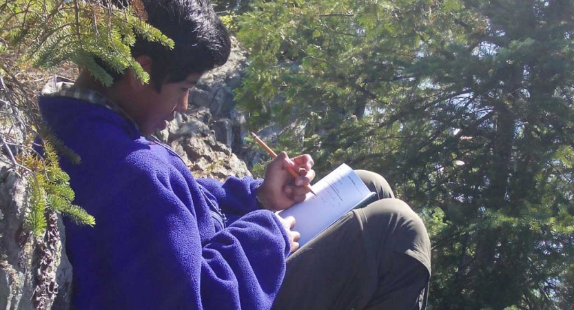 A person appears to journal while resting against a rock in a wooded area.